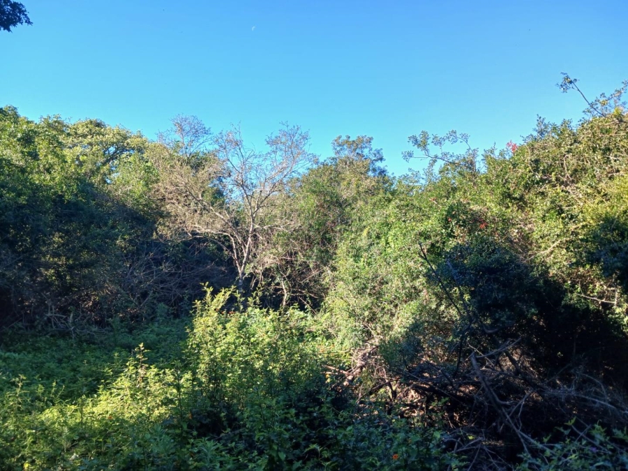 0 Bedroom Property for Sale in Bathurst Eastern Cape